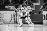 Photo hockey match Grenoble  - Caen  le 04/10/2013