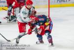 Photo hockey match Grenoble  - Cergy-Pontoise le 08/01/2021