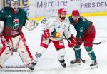 Photo hockey match Grenoble  - Cergy-Pontoise le 04/11/2022
