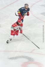 Photo hockey match Grenoble  - Cergy-Pontoise le 16/01/2026