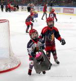 Photo hockey match Grenoble  - Chamonix  le 14/12/2021