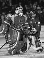 Photo hockey match Grenoble  - Chamonix  le 05/02/2011