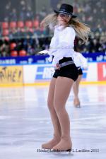 Photo hockey match Grenoble  - Chamonix  le 05/02/2011