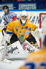 Photo hockey match Grenoble  - Dijon  le 11/01/2014