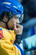 Photo hockey match Grenoble  - Dijon  le 11/01/2014