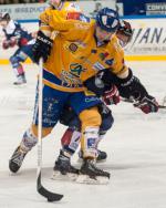 Photo hockey match Grenoble  - Dijon  le 11/01/2014