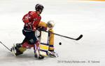 Photo hockey match Grenoble  - Dijon  le 28/10/2014