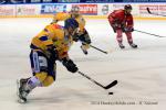 Photo hockey match Grenoble  - Dijon  le 28/10/2014
