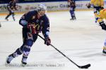 Photo hockey match Grenoble  - Dijon  le 31/01/2015