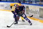 Photo hockey match Grenoble  - Dijon  le 31/01/2015