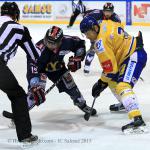 Photo hockey match Grenoble  - Dijon  le 31/01/2015