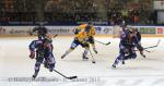 Photo hockey match Grenoble  - Dijon  le 31/01/2015