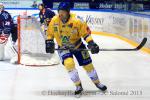 Photo hockey match Grenoble  - Dijon  le 27/02/2015