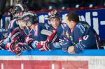 Photo hockey match Grenoble  - Dijon  le 27/02/2015