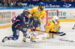 Photo hockey match Grenoble  - Dijon  le 27/02/2015