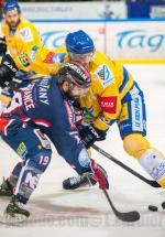 Photo hockey match Grenoble  - Dijon  le 27/02/2015
