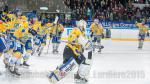 Photo hockey match Grenoble  - Dijon  le 07/03/2015
