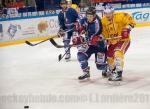 Photo hockey match Grenoble  - Dijon  le 08/12/2015