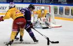 Photo hockey match Grenoble  - Dijon  le 02/02/2016