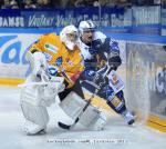 Photo hockey match Grenoble  - Dijon  le 19/11/2011