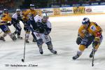 Photo hockey match Grenoble  - Dijon  le 19/11/2011