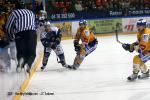 Photo hockey match Grenoble  - Dijon  le 19/11/2011