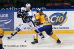 Photo hockey match Grenoble  - Dijon  le 19/11/2011