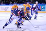 Photo hockey match Grenoble  - Dijon  le 22/09/2012