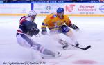 Photo hockey match Grenoble  - Dijon  le 22/09/2012