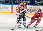 Photo hockey match Grenoble  - Epinal  le 02/12/2014