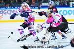Photo hockey match Grenoble  - Epinal  le 02/02/2010