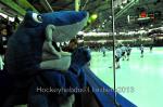 Photo hockey match Grenoble  - Epinal  le 12/01/2013