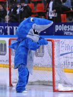 Photo hockey match Grenoble  - Epinal  le 12/01/2013