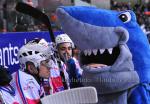 Photo hockey match Grenoble  - Epinal  le 12/01/2013