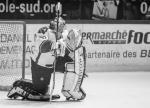 Photo hockey match Grenoble  - Gap  le 25/02/2014