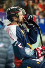 Photo hockey match Grenoble  - Gap  le 25/02/2014