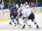 Photo hockey match Grenoble  - Gap  le 22/11/2014