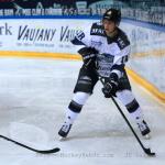 Photo hockey match Grenoble  - Gap  le 20/11/2016