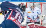 Photo hockey match Grenoble  - Lyon le 03/01/2015