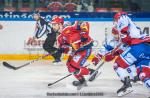Photo hockey match Grenoble  - Lyon le 19/10/2018