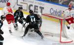 Photo hockey match Grenoble  - Marseille le 14/11/2023