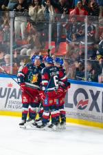 Photo hockey match Grenoble  - Marseille le 03/10/2025