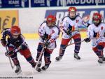 Photo hockey match Grenoble  - Mont-Blanc le 29/11/2008