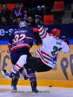 Photo hockey match Grenoble  - Mont-Blanc le 23/01/2010