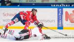 Photo hockey match Grenoble  - Morzine-Avoriaz le 18/11/2014