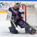 Photo hockey match Grenoble  - Morzine-Avoriaz le 19/02/2013