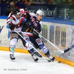 Photo hockey match Grenoble  - Morzine-Avoriaz le 19/02/2013