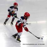 Photo hockey match Grenoble  - Mountfield le 03/09/2022