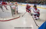 Photo hockey match Grenoble  - Mulhouse le 16/11/2018