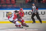 Photo hockey match Grenoble  - Mulhouse le 15/11/2019